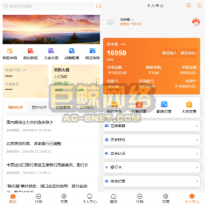 多语言TIKTOK抢单刷单系统/连单卡单/打针/前端uniapp巨鲸源码-巨鲸网络巨鲸源码-AC