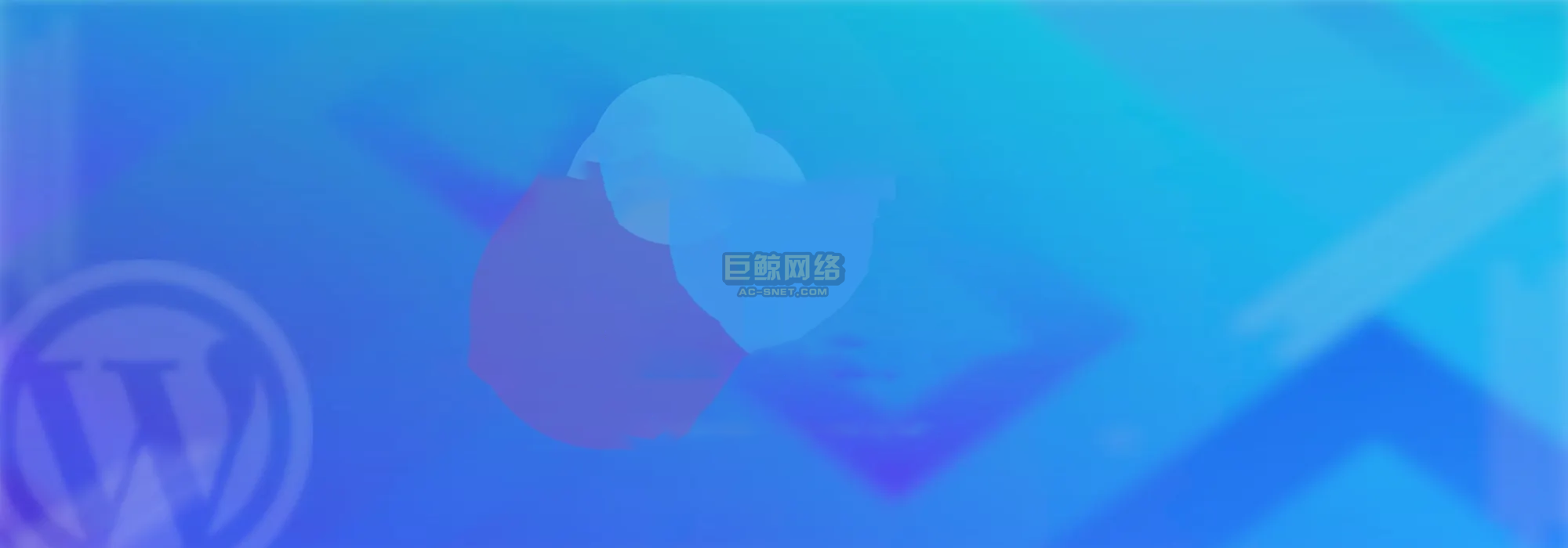 巨鲸源码-巨鲸网络